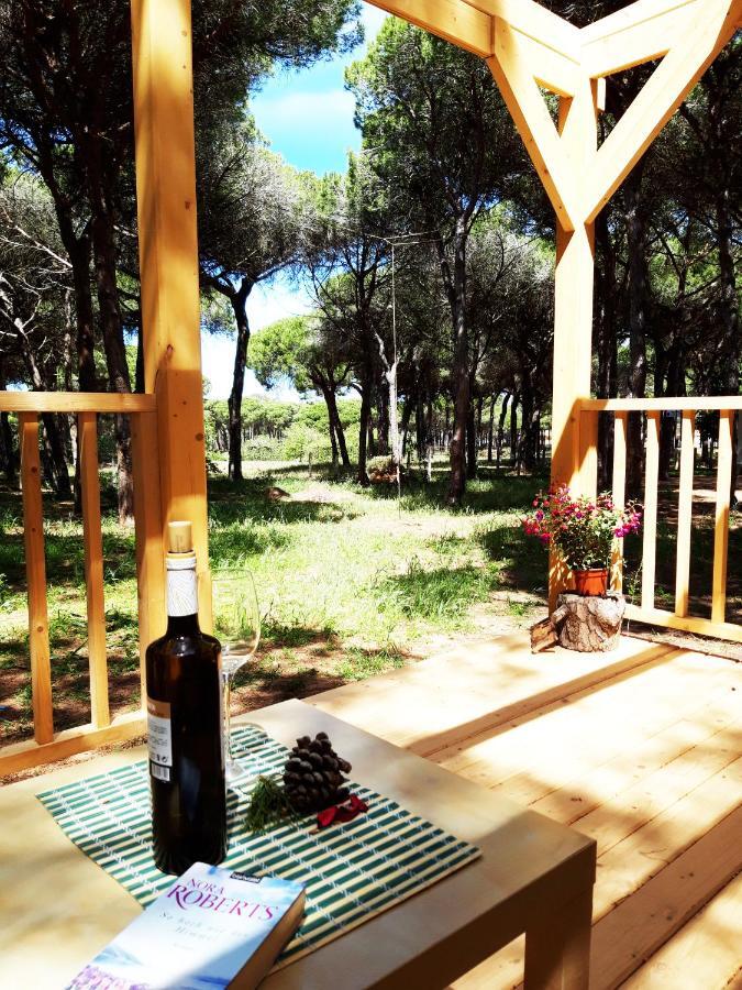 The Pineforest Chiclana de la Frontera
